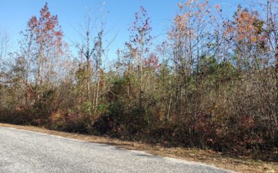 SOLD! Land For Sale! 9.93+/- acres just a short walk to the York River!